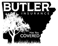 Butler Insurance logo