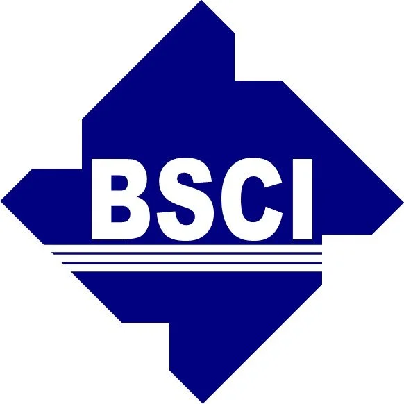 Bob Smith Construction logo