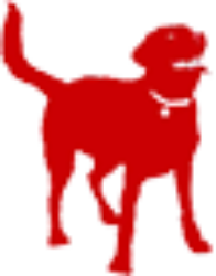 The Eisenberg Group logo