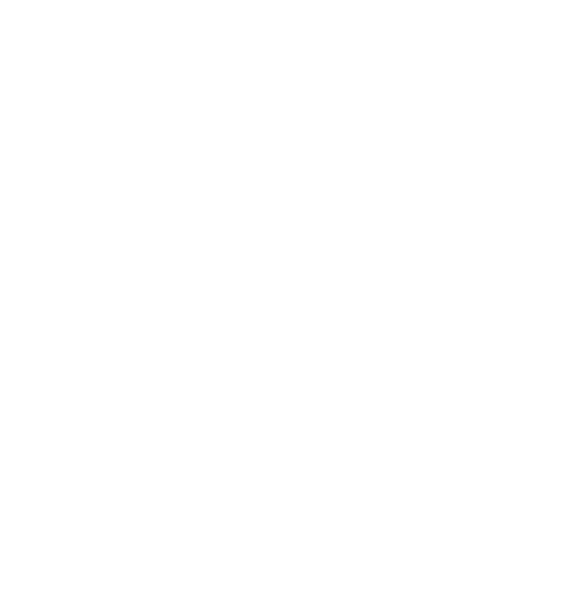 Brandi Segraves logo