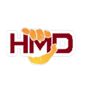Handyman Dubai Expert logo