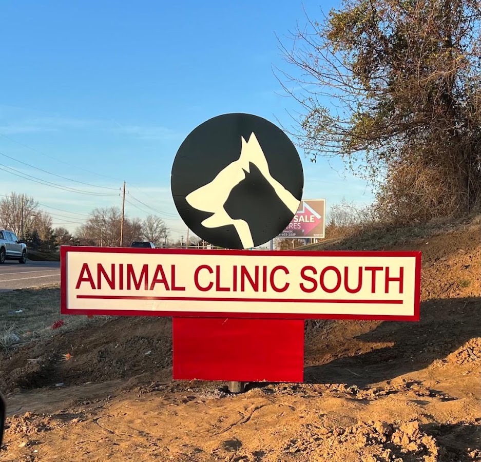 Animal Clinic South