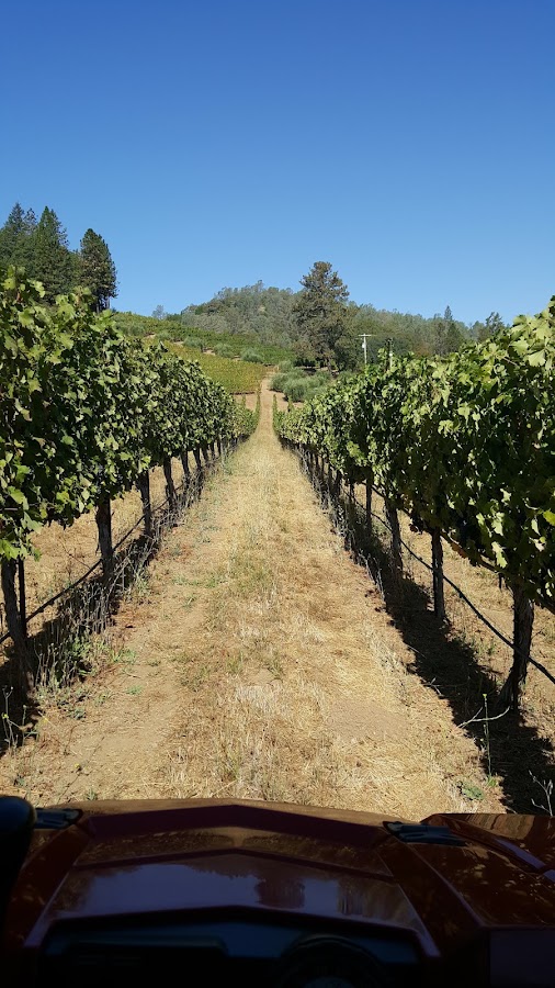 Cimarossa Wines