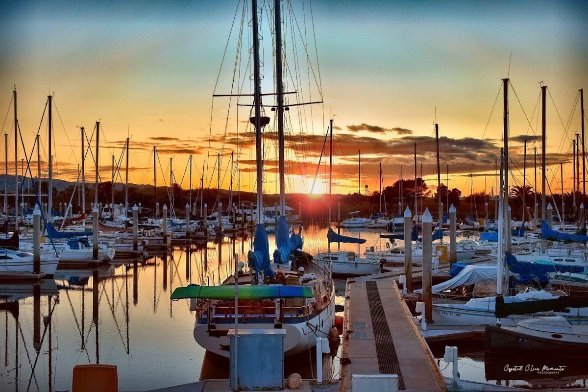 Antioch Marina Harbor
