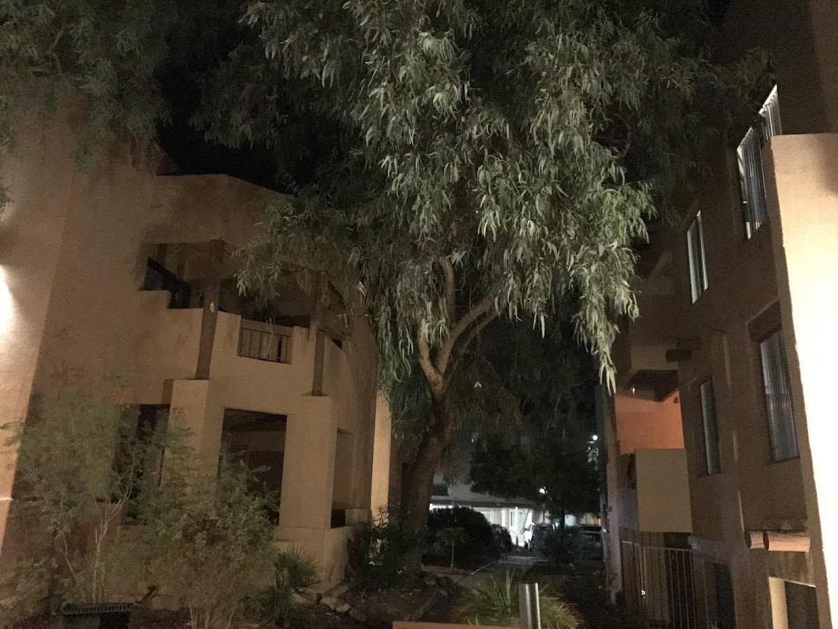 Adobe Highlands Apartments