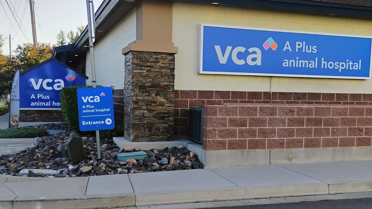 VCA A Plus Animal Hospital