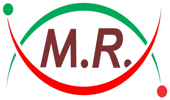Munir Shabeer Technical Services LLC logo