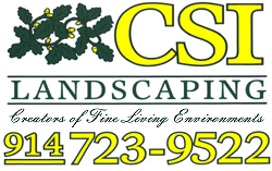 CSI Landscaping logo