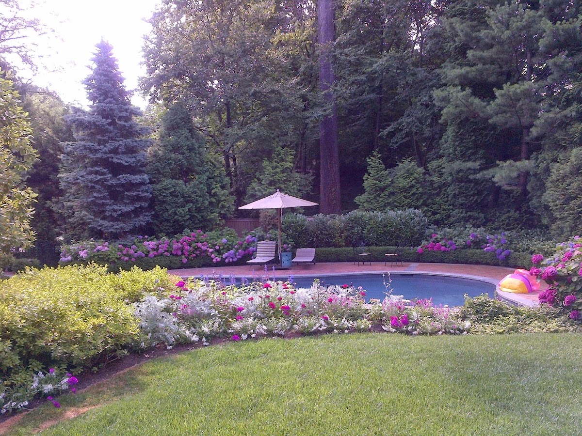 CSI Landscaping