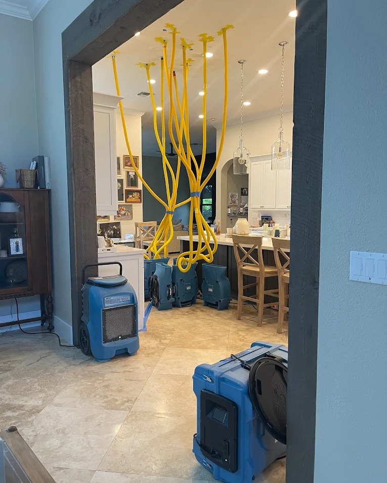 BuildEase by Florida Mitigation Group photo 4