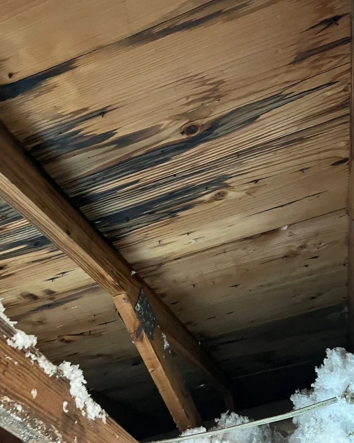 BuildEase by Florida Mitigation Group photo 1