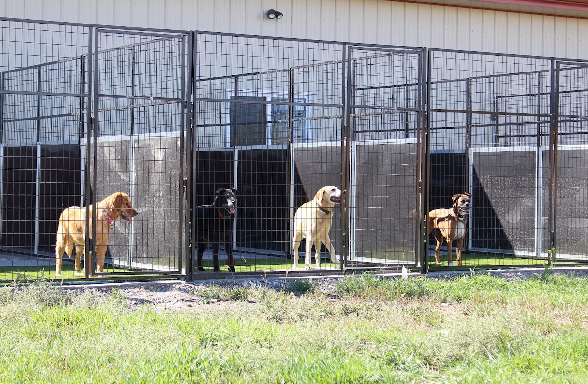 Amazing Acres Pet Resort