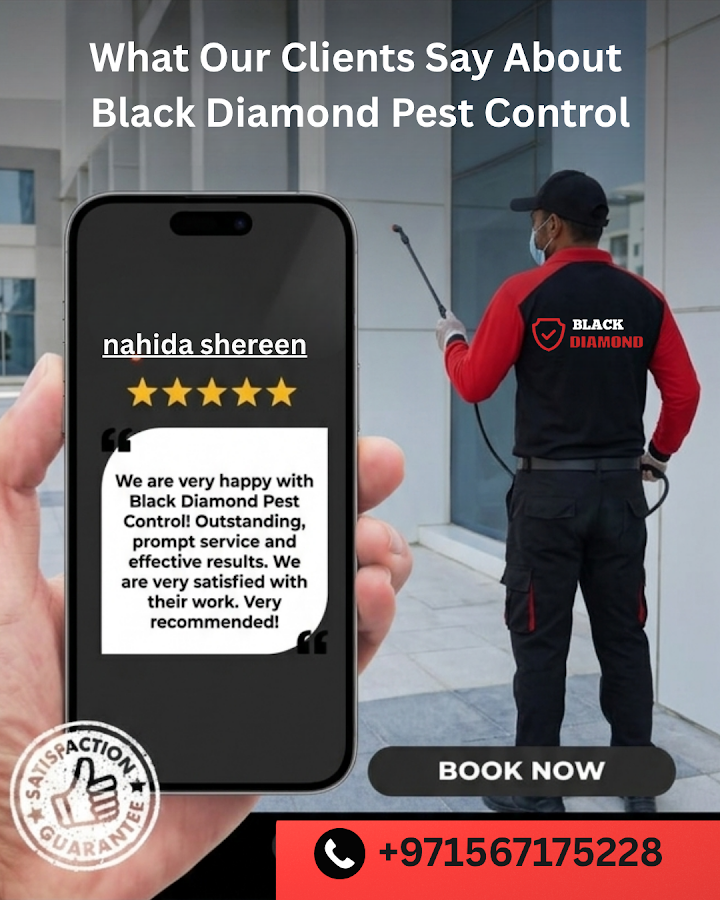 Black Diamond Pest Control