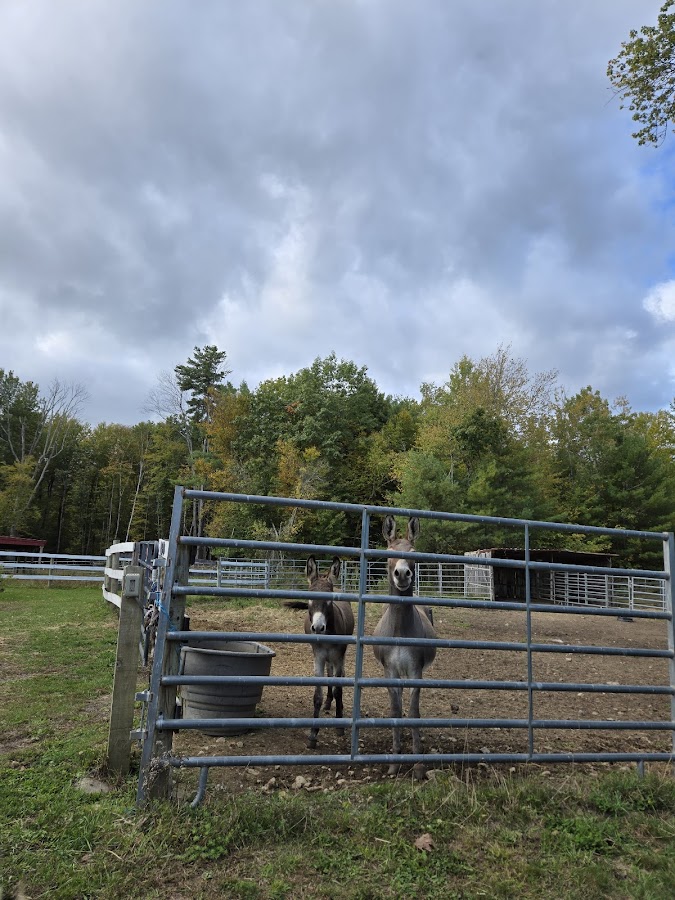 Live & Let Live Farm Inc.