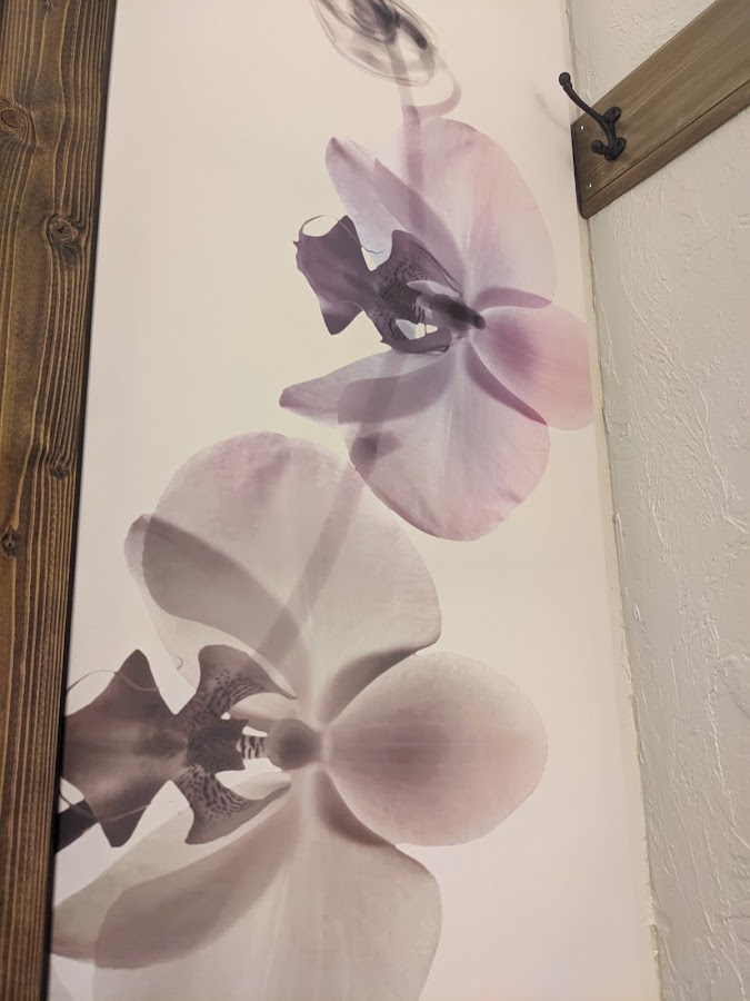 Harmony Wellness Pure O2 Oxygen Spa