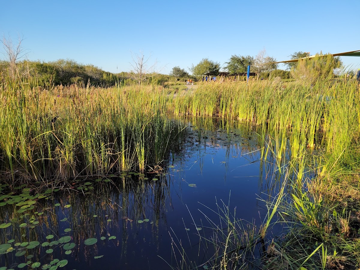 Oso Bay Wetlands Preserve and Learning Center Corpus Christi, TX