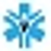 Body Solve logo