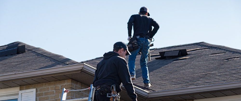 Next Chapter Home Inspections logo