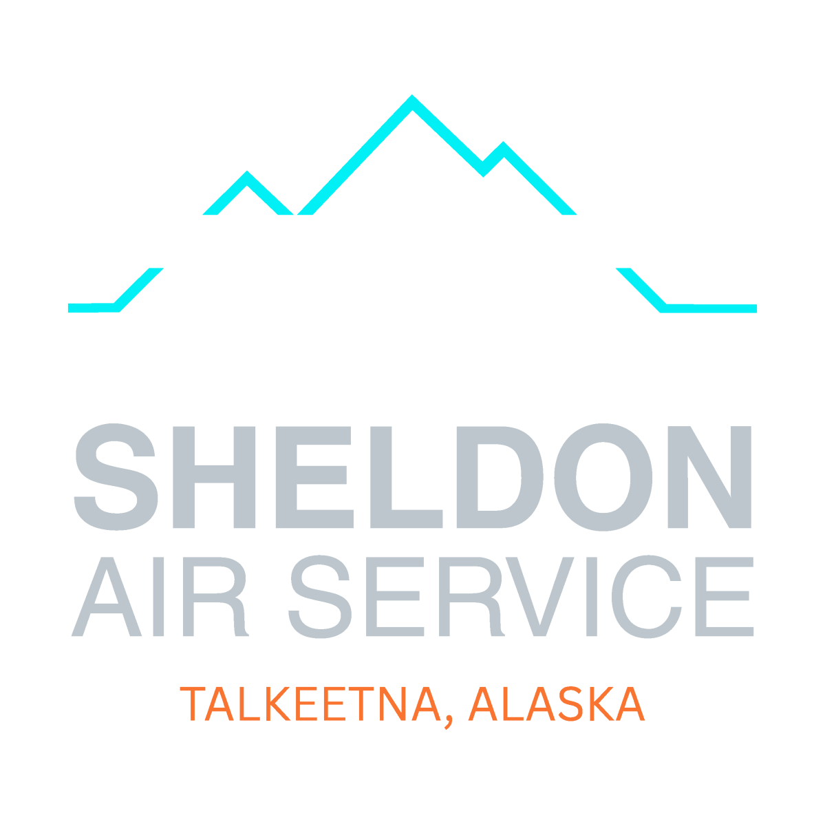 Sheldon Air Service logo
