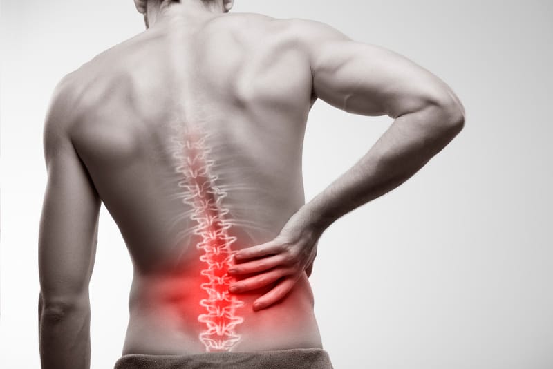 Dunfermline Chiropractic Clinic logo