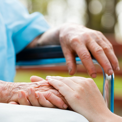 Nurse's Assisted Living logo