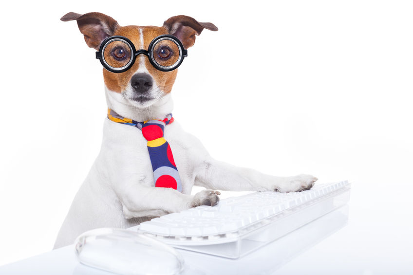 Top Dog Marketing