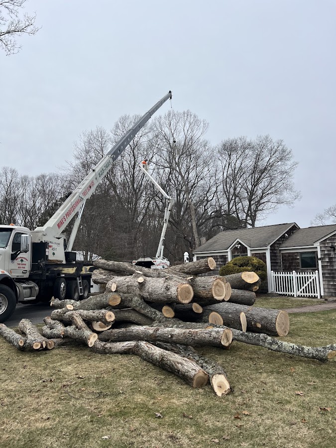 Mike's Professional Tree Services