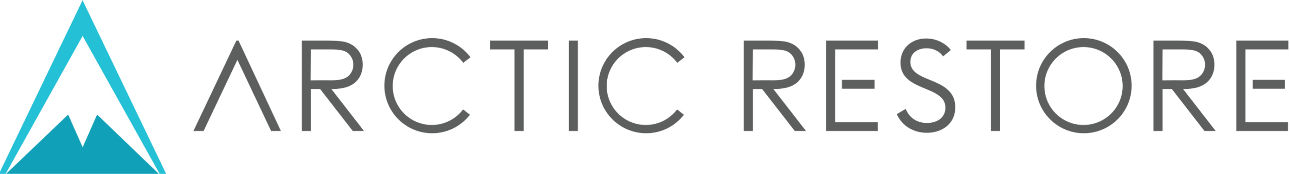 Arctic Restore - Cryo Health Spa logo