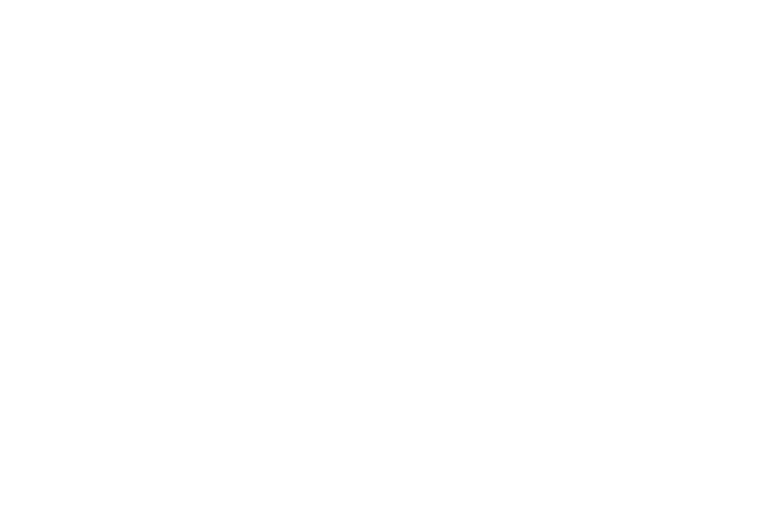 Colosseum Boxing Gym logo
