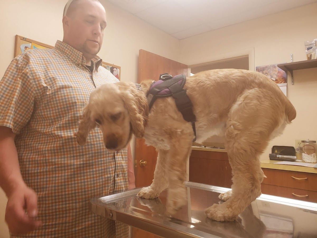 Animal Medical Clinic