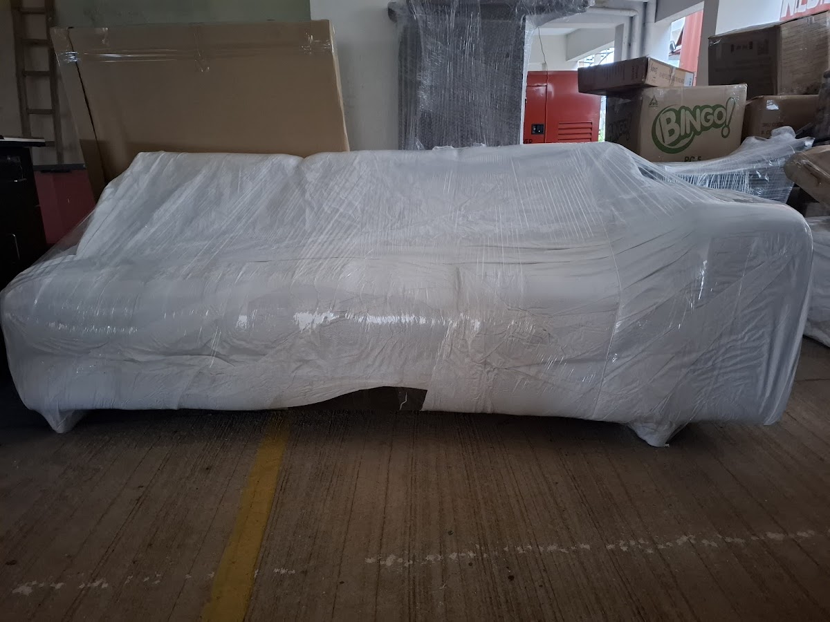 Packingo Movers India
