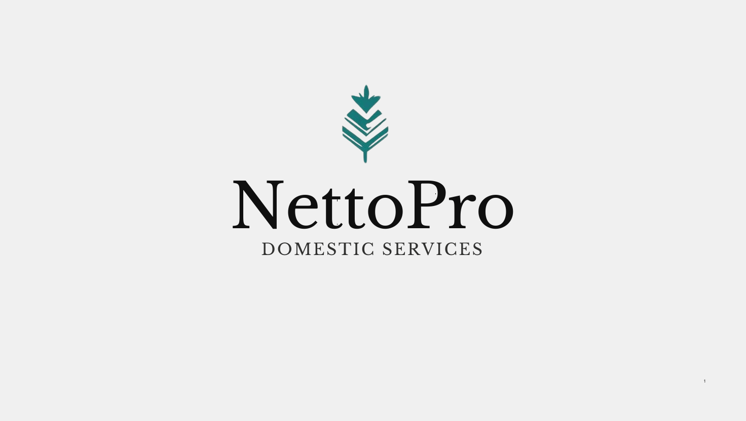 NettoPro logo