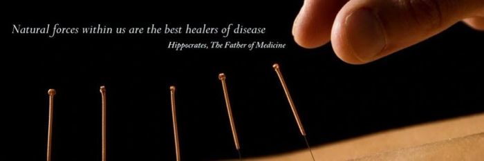 Sian Williams Acupuncture logo