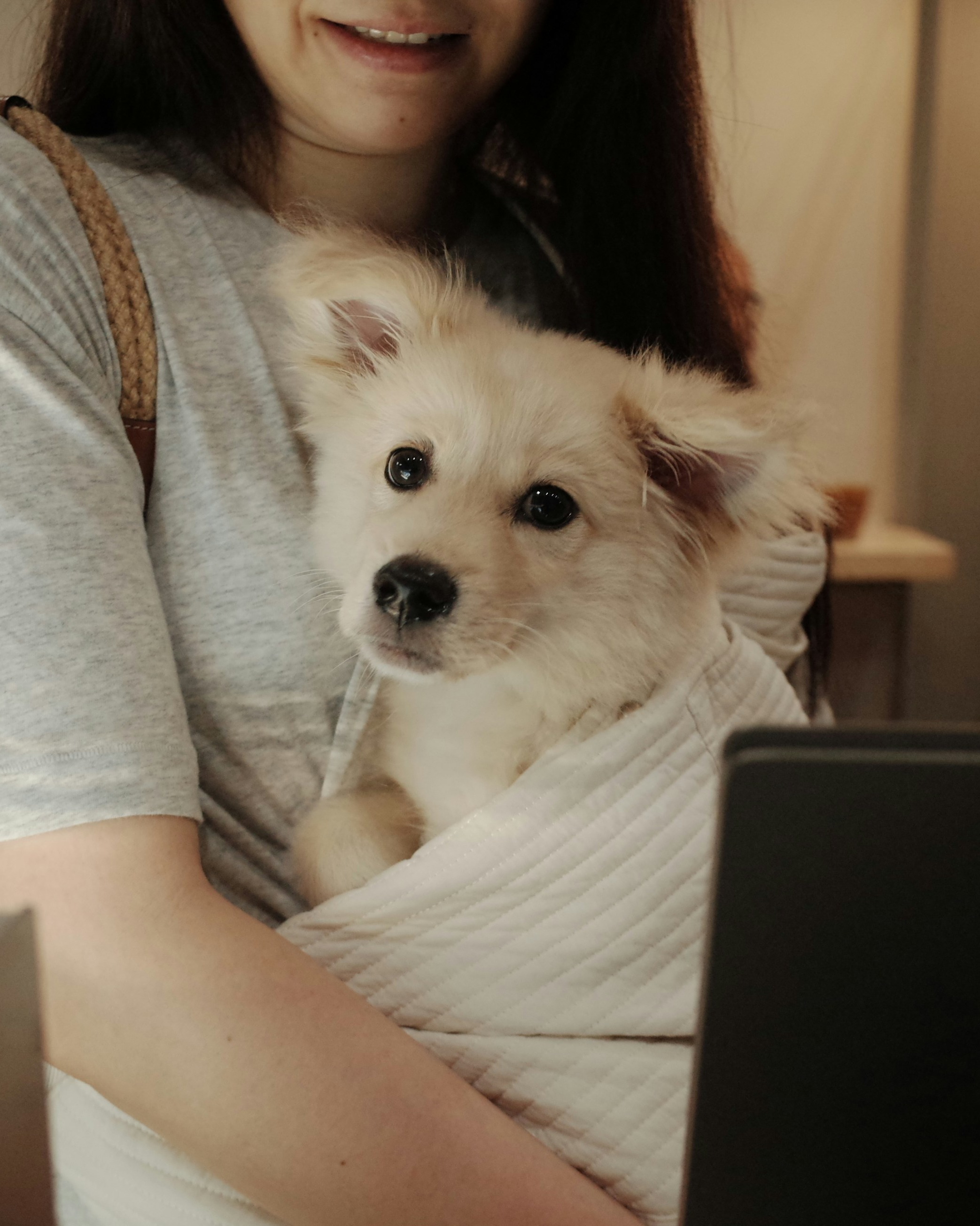 Boise Pet Sitters photo 3