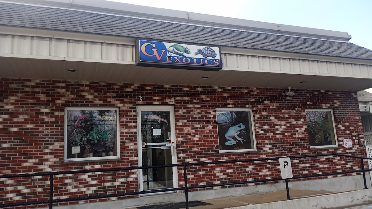 CV Exotics
