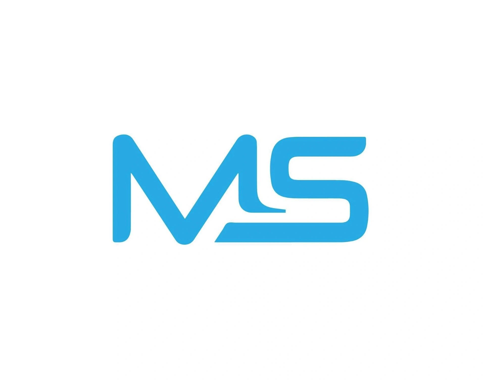 Martin Services logo