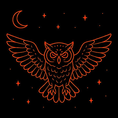 Night Owl Express Transport LLC logo
