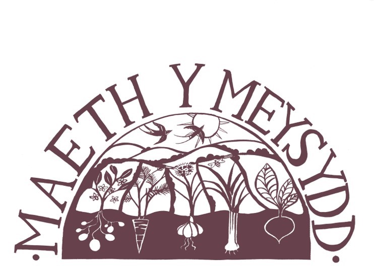 Maeth Y Meysydd logo