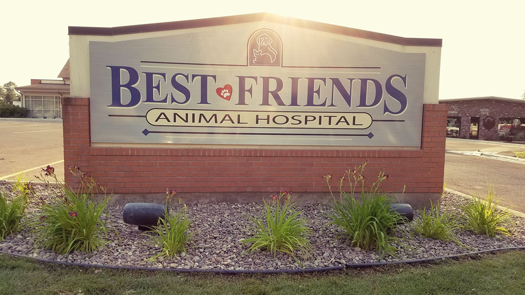 Best Friends Animal Hospital