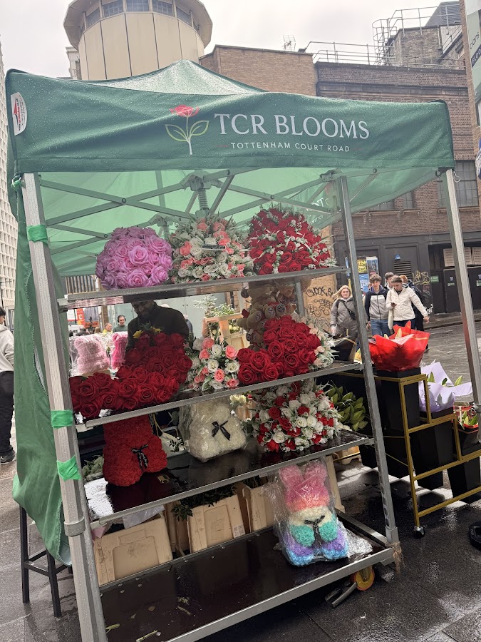 TCR BLOOMS