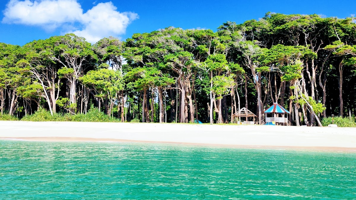 Zipp Trip Andaman Tours And Travels