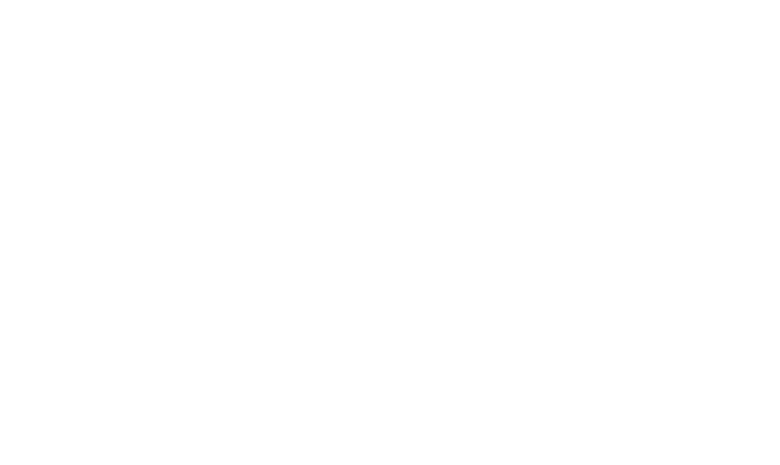 WISE Home Solutions logo