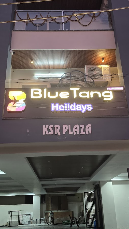 Blue Tang Holidays