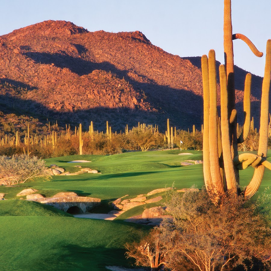 Dove Mountain