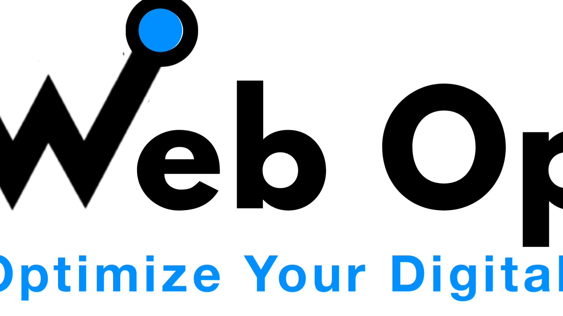 Web Optez - Best Design and Marketing Agency