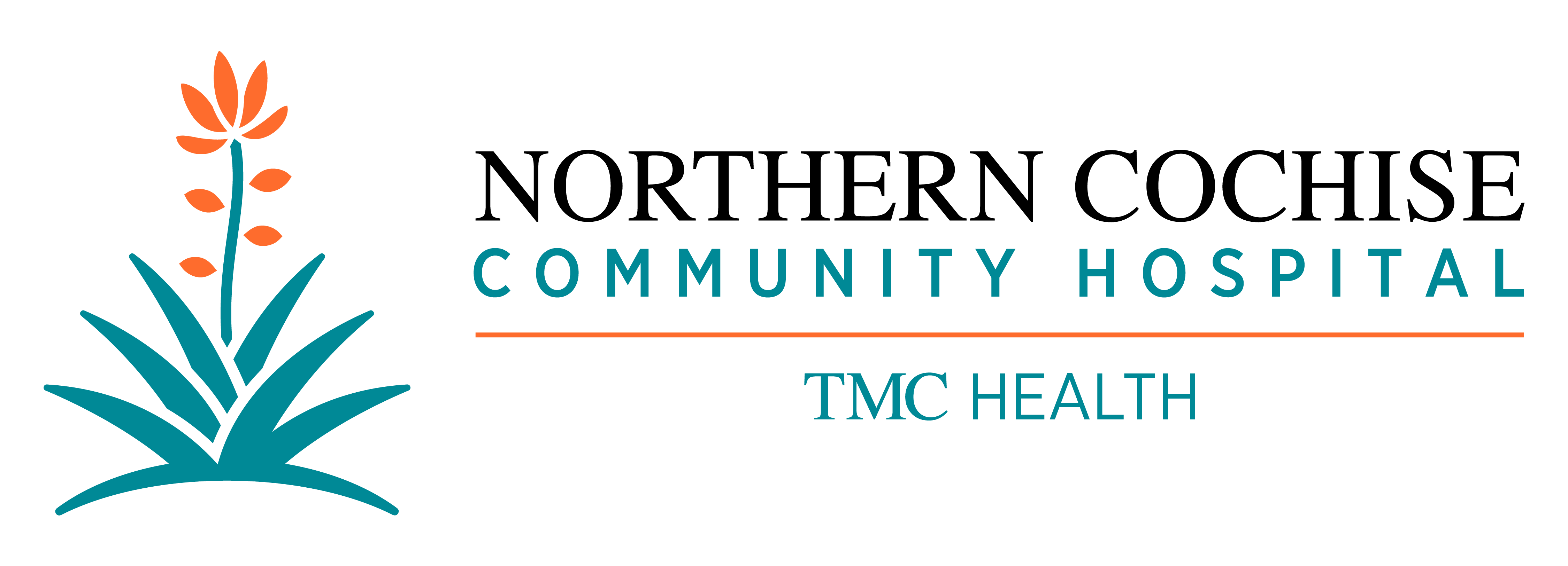 Sulphur Springs Medical Center logo