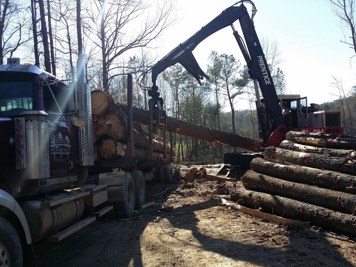 Cambron Logging