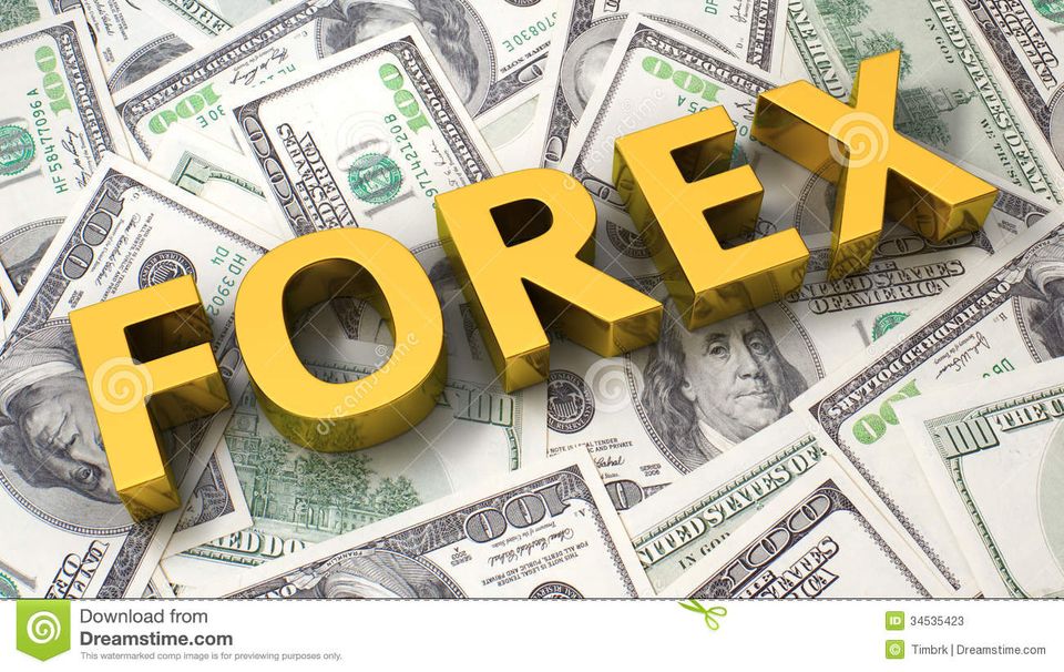 Fortune Forex Pvt Ltd (currency exchange in guntur)