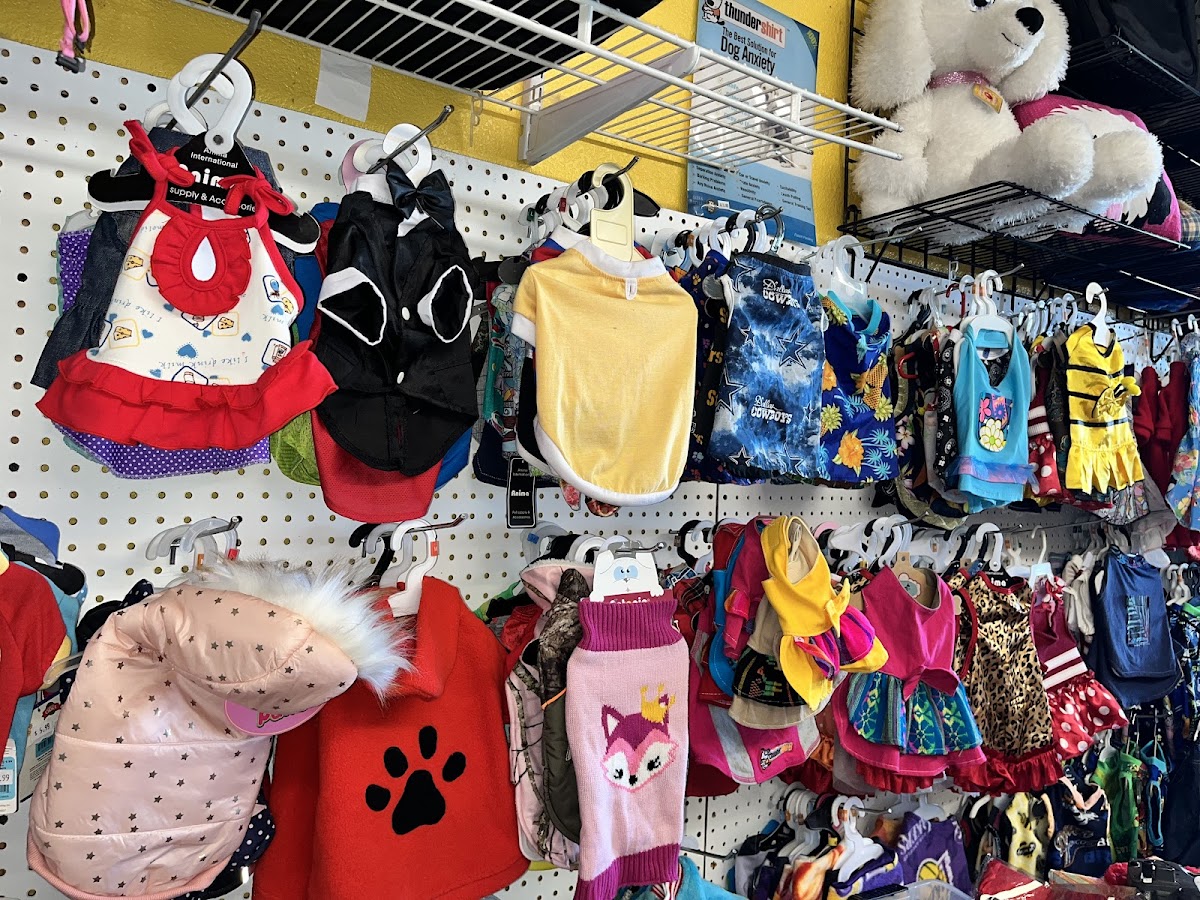 Lucky's Pet Grooming & Boutique
