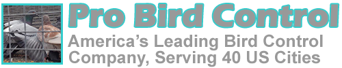 Pro Bird Control Birmingham logo